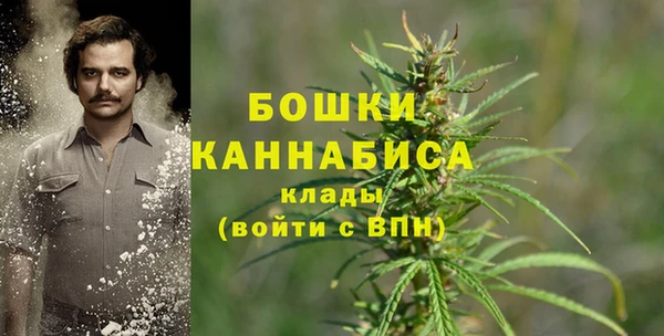 ALPHA PVP Горно-Алтайск